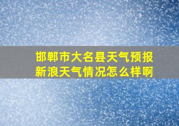 邯郸市大名县天气预报新浪天气情况怎么样啊