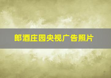 郎酒庄园央视广告照片