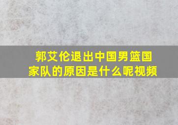 郭艾伦退出中国男篮国家队的原因是什么呢视频