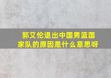 郭艾伦退出中国男篮国家队的原因是什么意思呀