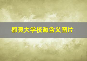 都灵大学校徽含义图片