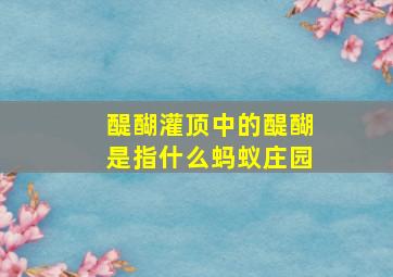 醍醐灌顶中的醍醐是指什么蚂蚁庄园