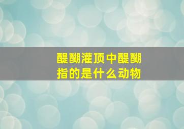 醍醐灌顶中醍醐指的是什么动物