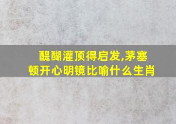 醍醐灌顶得启发,茅塞顿开心明镜比喻什么生肖