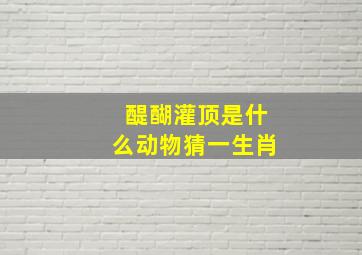 醍醐灌顶是什么动物猜一生肖