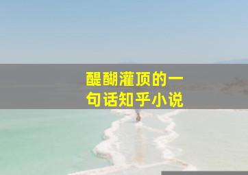 醍醐灌顶的一句话知乎小说