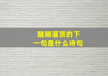 醍醐灌顶的下一句是什么诗句