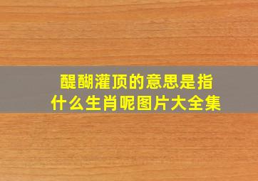 醍醐灌顶的意思是指什么生肖呢图片大全集