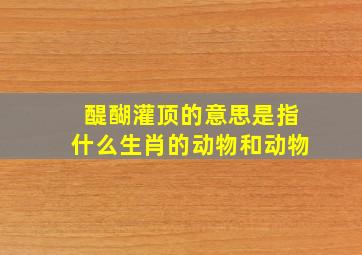 醍醐灌顶的意思是指什么生肖的动物和动物