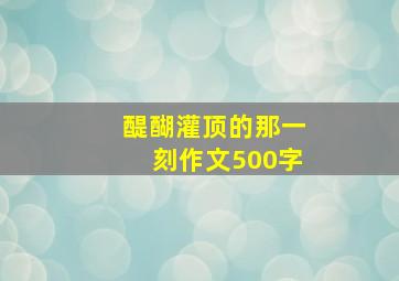 醍醐灌顶的那一刻作文500字