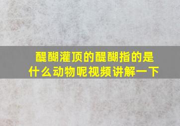 醍醐灌顶的醍醐指的是什么动物呢视频讲解一下