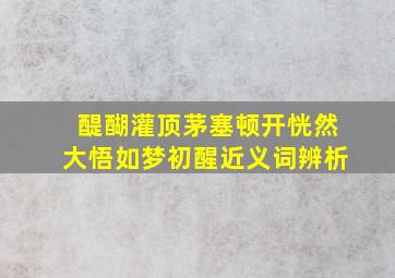 醍醐灌顶茅塞顿开恍然大悟如梦初醒近义词辨析