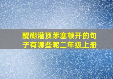 醍醐灌顶茅塞顿开的句子有哪些呢二年级上册