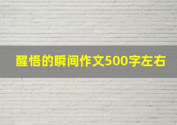 醒悟的瞬间作文500字左右