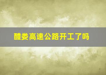 醴娄高速公路开工了吗