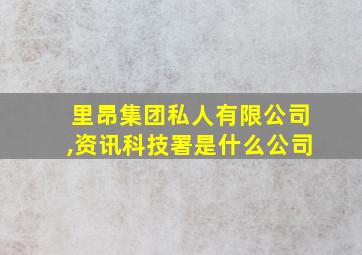 里昂集团私人有限公司,资讯科技署是什么公司