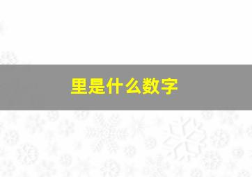 里是什么数字