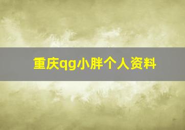 重庆qg小胖个人资料