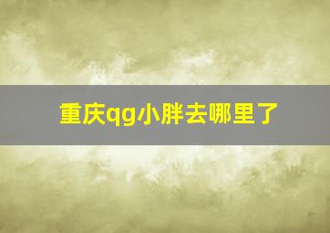 重庆qg小胖去哪里了