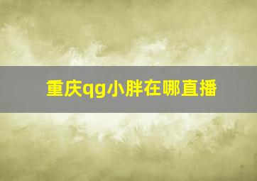 重庆qg小胖在哪直播