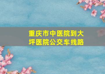 重庆市中医院到大坪医院公交车线路