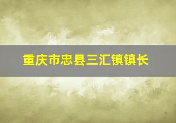 重庆市忠县三汇镇镇长