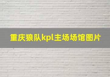 重庆狼队kpl主场场馆图片