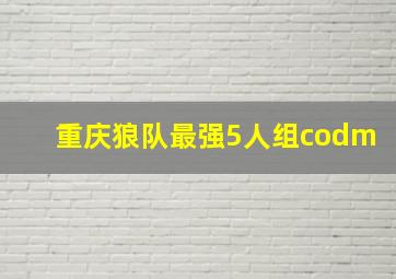 重庆狼队最强5人组codm