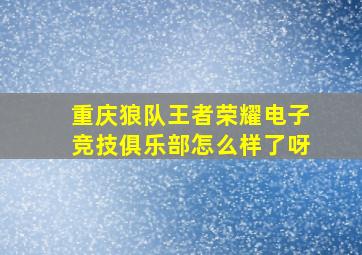 重庆狼队王者荣耀电子竞技俱乐部怎么样了呀