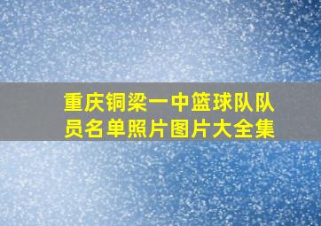 重庆铜梁一中篮球队队员名单照片图片大全集