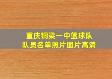 重庆铜梁一中篮球队队员名单照片图片高清