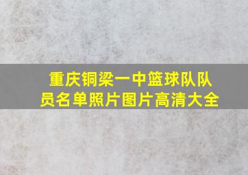 重庆铜梁一中篮球队队员名单照片图片高清大全