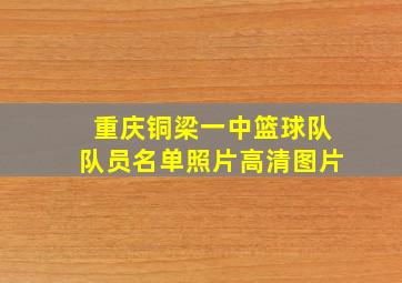 重庆铜梁一中篮球队队员名单照片高清图片