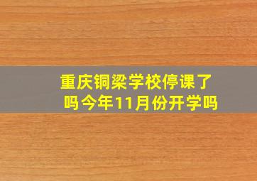 重庆铜梁学校停课了吗今年11月份开学吗