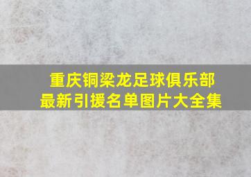 重庆铜梁龙足球俱乐部最新引援名单图片大全集