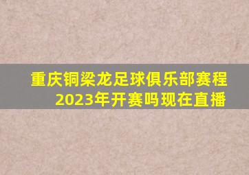 重庆铜梁龙足球俱乐部赛程2023年开赛吗现在直播