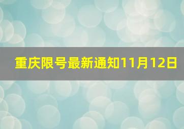 重庆限号最新通知11月12日