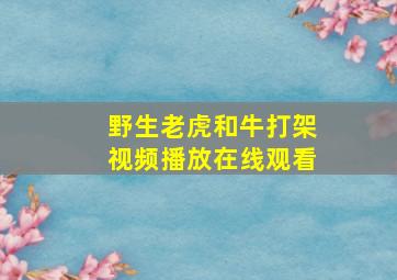 野生老虎和牛打架视频播放在线观看