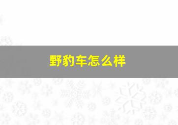 野豹车怎么样