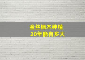 金丝楠木种植20年能有多大