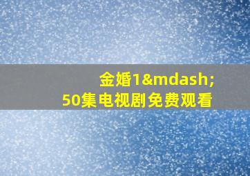 金婚1—50集电视剧免费观看