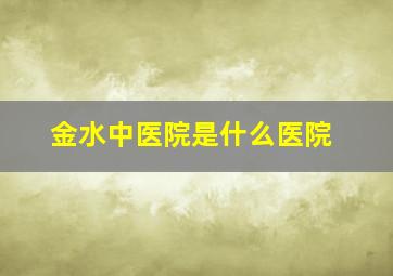 金水中医院是什么医院