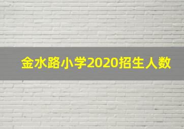 金水路小学2020招生人数