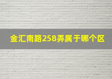 金汇南路258弄属于哪个区