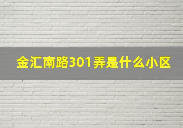 金汇南路301弄是什么小区