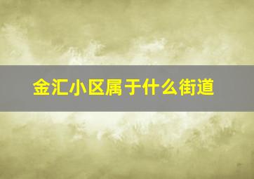 金汇小区属于什么街道