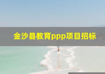 金沙县教育ppp项目招标