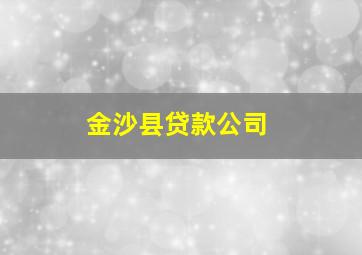 金沙县贷款公司