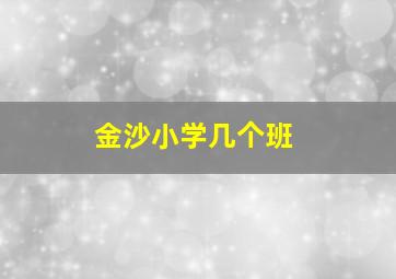 金沙小学几个班