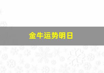 金牛运势明日